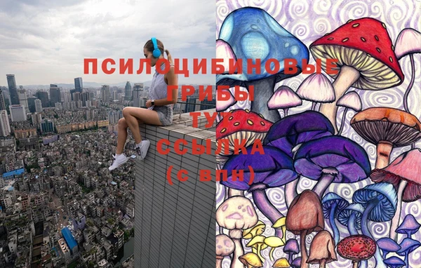 бошки Дмитровск