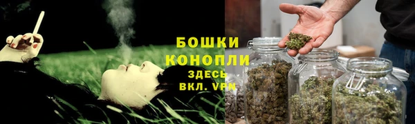 экстази Ельня