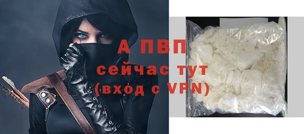 стафф Елизово