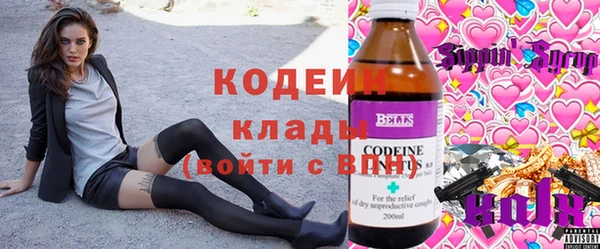 стафф Елизово