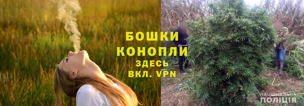 бошки Дмитровск