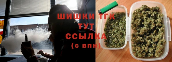 стафф Елизово